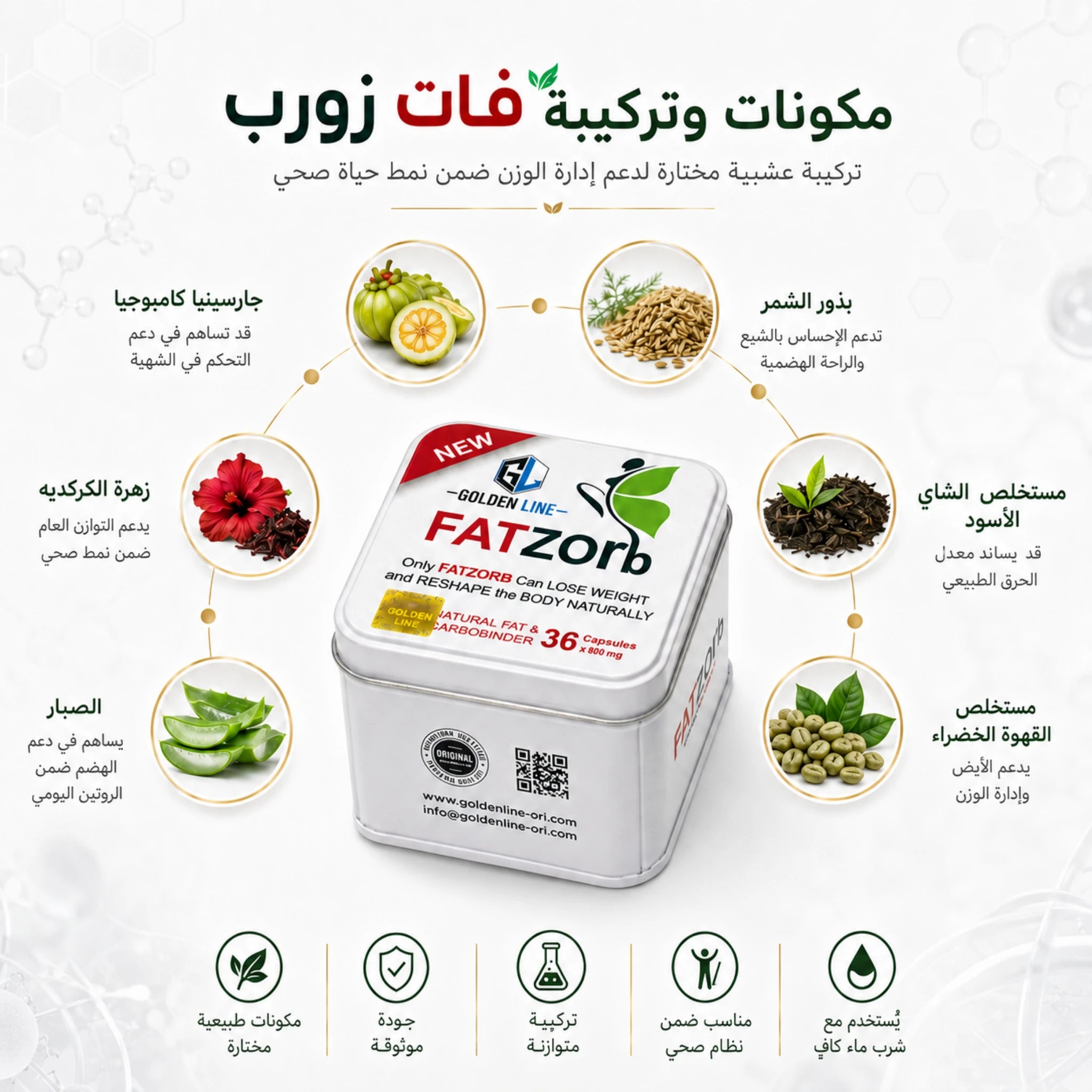 مكونات فات زورب للتخسيس لدعم الشبع والتمثيل الغذائي وإدارة الوزن