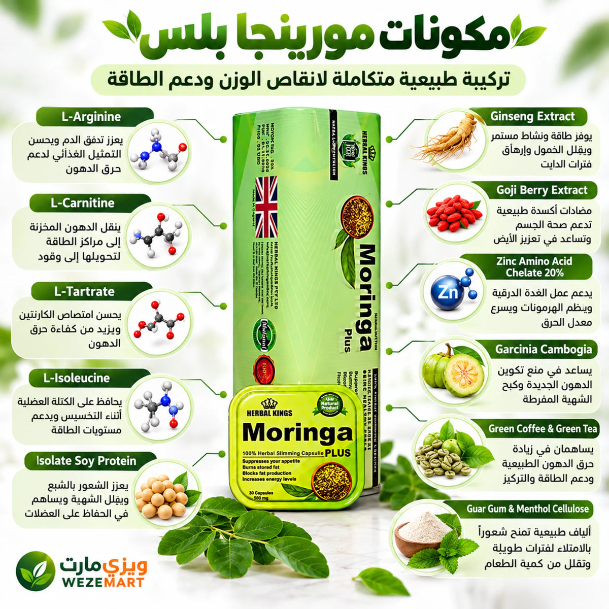 مكونات مورينجا بلس تشمل إل كارنيتين والأرجينين والجنسنج والقهوة الخضراء والشاي الأخضر مع صورة العبوة